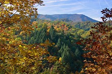 Fantasia Autunnale